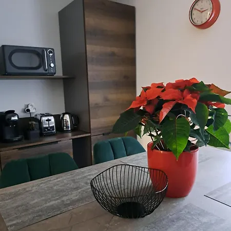 Cosy Centre Avec Parking * 科尔马