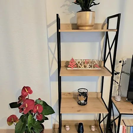 Cosy Centre Avec Parking コルマール